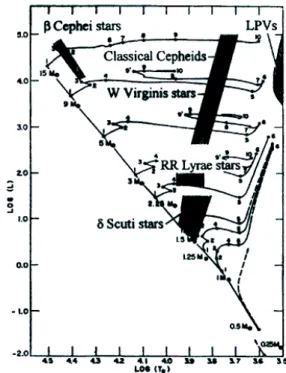 Figura 4: Diversi tipi di variabili pulsanti poste all’interno del diagramma HR.Una curva di luce tipica per queste stelle