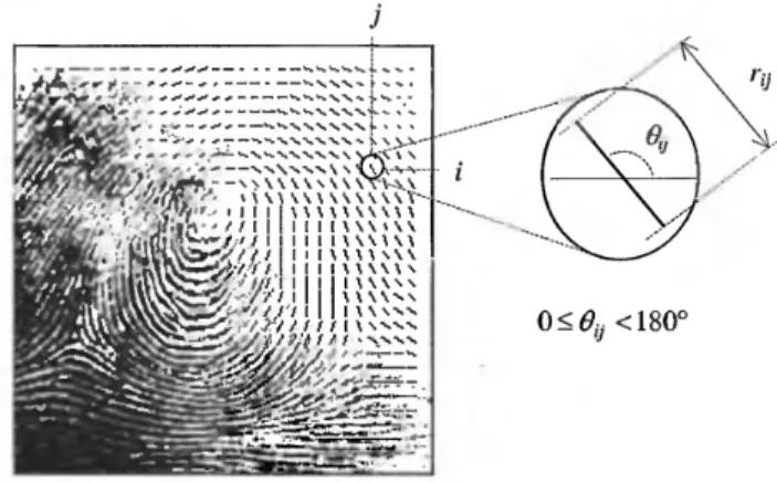 Figura 2.4: Immagine direzionale relativa a un’impronta e dettaglio; ogni elemento di questa griglia  rappresenta una orientazione locale e la sua lunghezza è direttamente proporzionale al valore r di 