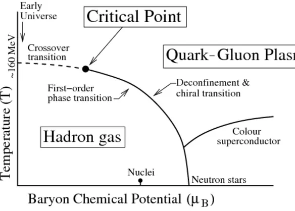 Figure 1.2: A simplified phase diagram for the QGP.