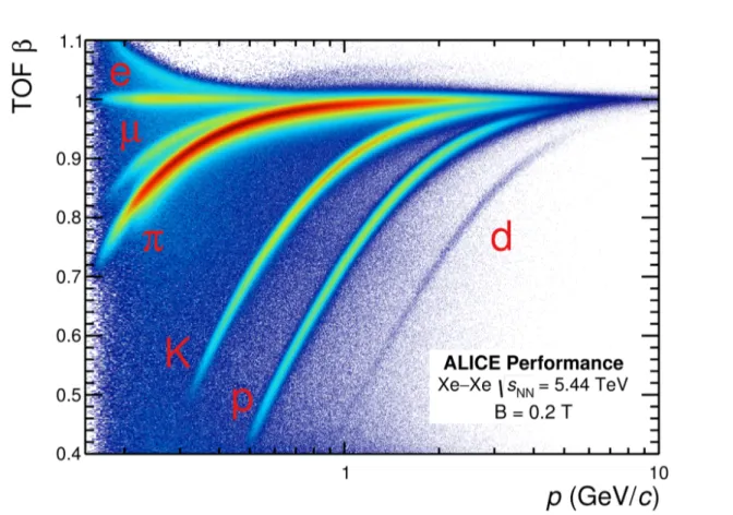 Figure 3.1: β = v c = ct L measured with the TOF detector as a function of the track momentum in Xe–Xe collisions at √ s NN = 5.44 TeV