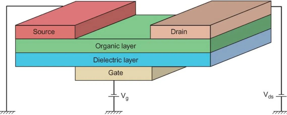 Figure 2.8 - Basic schematic of an organic field-effect transistor  [13] 