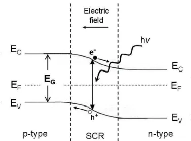 Fig. 1.1: conversione fotovoltaica  in una giunzione p-n. Il bandgap del materiale è  indicato da E G , mentre E C , E V  e E F   indicano rispettivamente la posizione della 