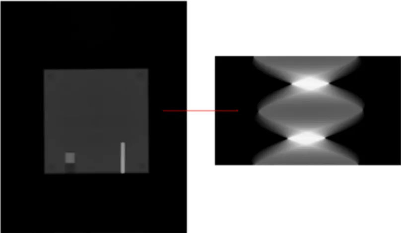 Fig. 1.9: (Left) a projection on which the formula (1.10) was performed. (Right) a sinogram