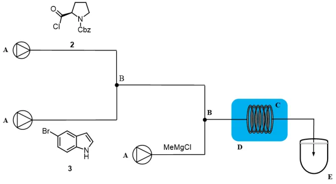 Figura 15 - A: pompa a siringa; B: raccordo a ‘t’; C: reattore tubolare; D: bagno refrigerante; E: reattore batch