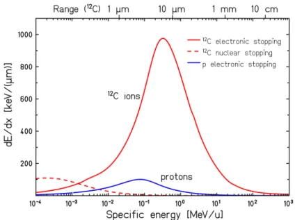 Figure 1.5: Specific energy loss dE/dx of 12 C ions and protons in water. The range of 12 C ions in water corresponding to their specific energy is indicated at the top.