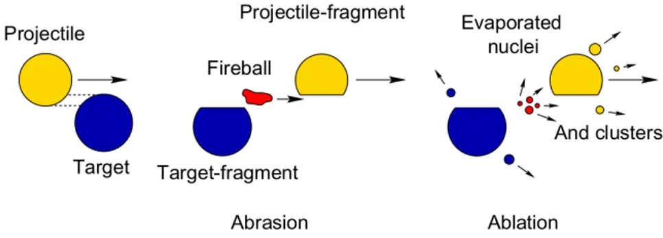 Figure 1.8: Illustration of abrasion-ablation model of peripheral collisions at high energies [16].
