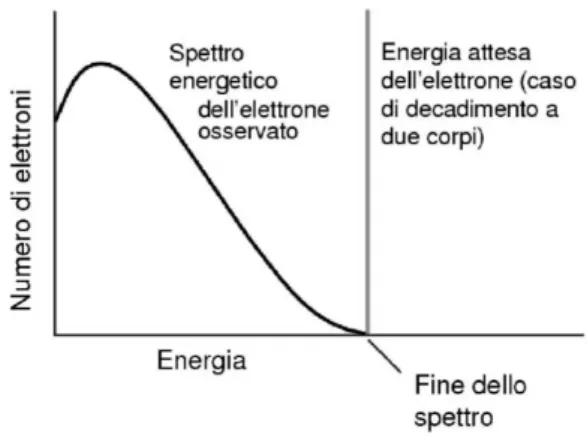 Figura 2.6: Distribuzione dell’energia trasportata dall’e − nel decadimento β − del nucleo.