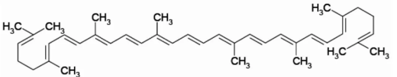 Figura 4 - Formula chimica di licopene tutto-trans 
