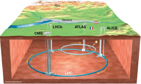 Figura 2.1: LHC e i 4 esperimenti