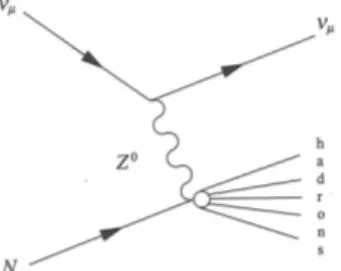 Figura 1.3: diagramma di Feyeman per una la reazione neutra di corrente: νµ + N → νµ + X
