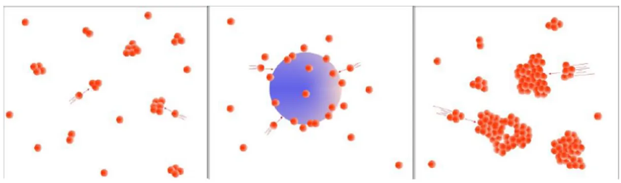 Figura 1.11: Modalit` a di accrescimento per particelle di aerosol atmosferico. Da sinistra a destra, processi di nucleazione, condensazione ed accrescimento