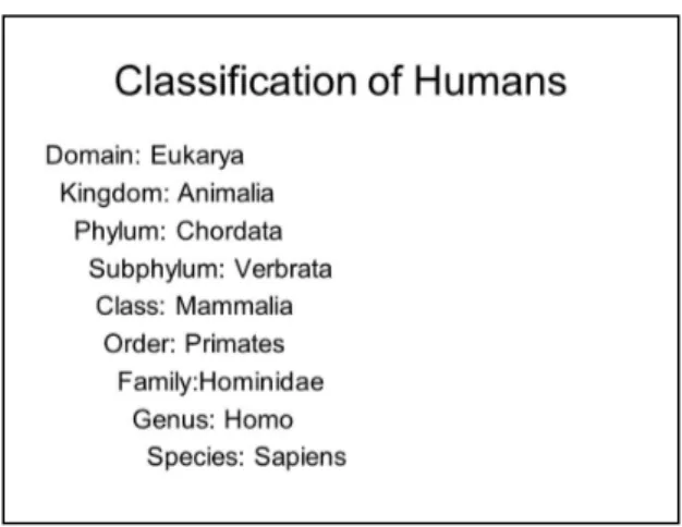 Figure 7 - Linnean taxonomy for the human being 