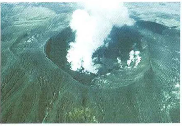 Figura 1.5: Cratere del vulcano El Chichón dopo l'eruzione del 1982 [Tilling, 2009].