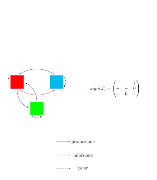 Figura 2.1: Esempio di network ecologico composto da 3 specie. Il segno dei coefficienti del jacobiano determina la natura delle interazioni interspecifiche