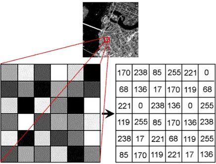 Figura 2.2: Immagine a scala di grigi rappresentata da una matrice con i corrispondenti pixel values