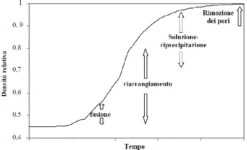 Figura 2.1 Curva di sinterizzazione in fase liquida [15] 