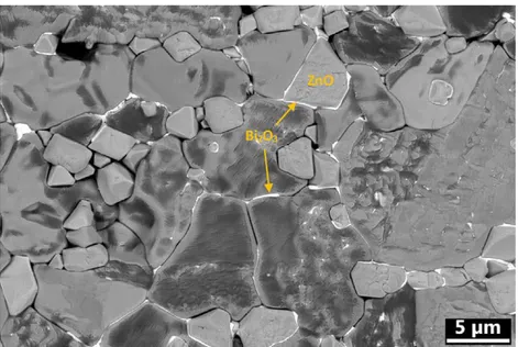 Figura 2.2 Micrografia SEM di ZnO e Bi2 O 3  sinterizzati in fase liquida [2]
