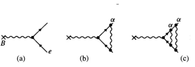 Figura 2.2. Grafici di alcune delle correzioni relative alla QED al momento magnetico dei leptoni.