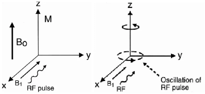 Figura 1.3: Il vettore magnetizzazione M ha la stessa direzione del campo