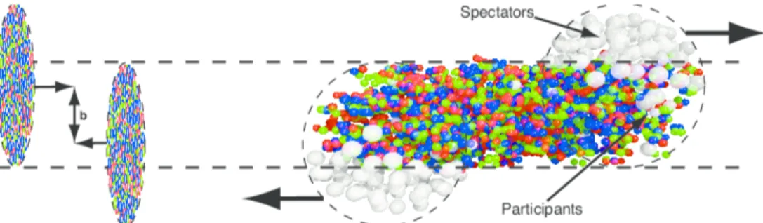 Figura 1.5: Schematizzazione di un evento di collisione tra due ioni pesanti