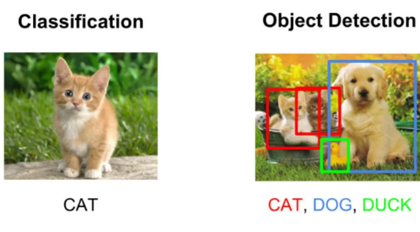 Figura 2.3: Differenze tra Classificazione ed Object Detection