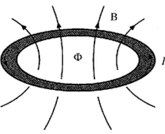 Figura 1.2: Corrente persistente intorno ad un anello di materiale superconduttore [1]