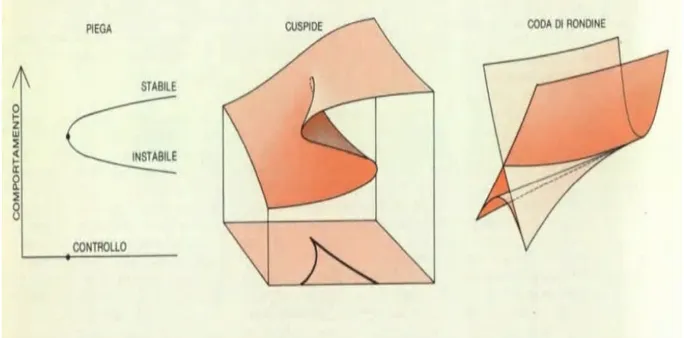 Figura 1.4: catastrofe a cuspide, piega e coda di rondine