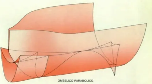 Figura 1.7: catastrofe a ombelico parabolico