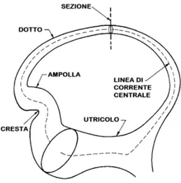 Figura 2.1: Rappresentazione schematica di un canale semicircolare