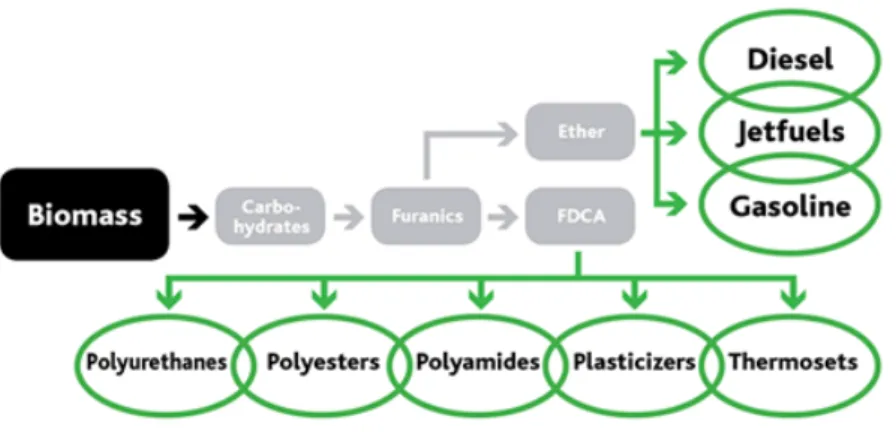 Figura 1.27. Strategie per l’utilizzo della biomassa. 