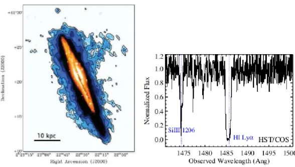 Figure 1.2: Left panel, HI map (blue) overlaid to the optical image (orange) of the extra- extra-planar gas in the nearby galaxy NGC 891 (from Oosterloo et al., 2007)