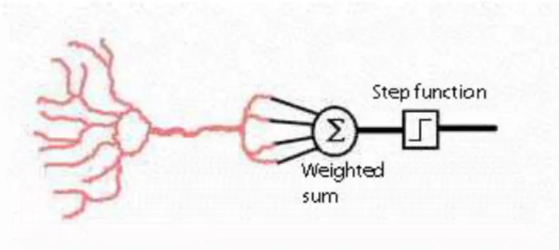 Figura 2.2: Rappresentazione di un neurone artificiale
