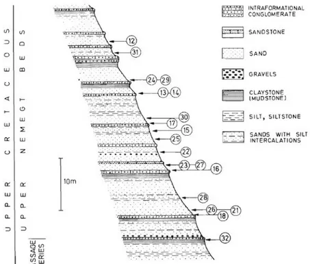 Fig. 16a – Profilo geologico della località Nemegt (Northern). I numeri si riferiscono alle faune fossili 