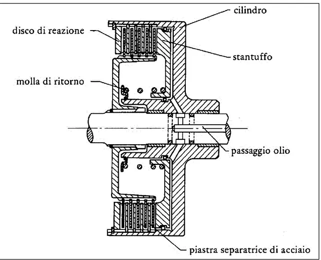 Figura 36 – Esempio di una frizione a dischi multipli 