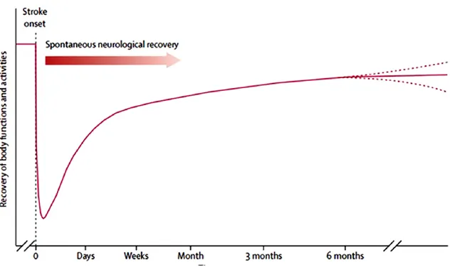 Figura 8: curva che mostra il recupero motorio in funzione del tempo dall'evento ischemico