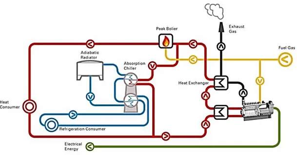 Figura 20 - Esempio tipico dei flussi di energia che si hanno in un impianto di  trigenerazione 