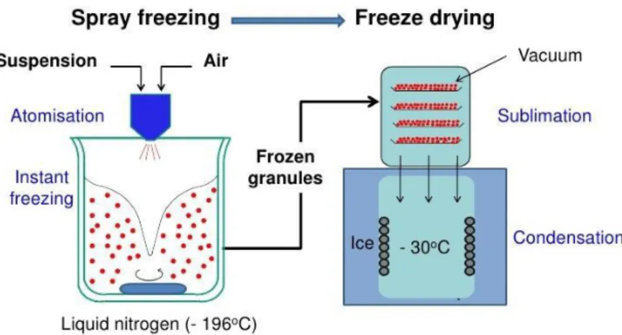 Figura 14 Rappresentazione schematica del processo di Spray-Freeze-Drying in azoto liquido