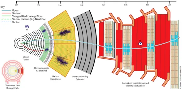 Figure 1.4: Transverse layout of the CMS detector.