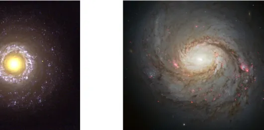 Figura 1.4: A sinistra, la galassia NGC 7742, una Seyfert I. A destra, Messier 77, una Seyfert II