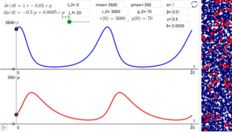 Figure 2.2. Graphs of the time-evolution of prey (blue) and predator (red)  populations, according to the Lotka-Volterra model, with a suitable choice 