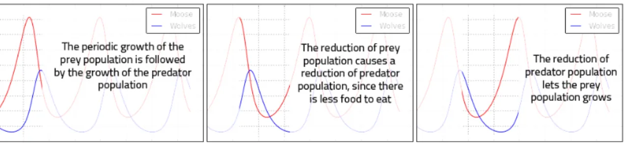 Figure 3. Comments about the periodic evolution of preys (moose) and  predators (wolves), with respect to their time evolution in Figure 2