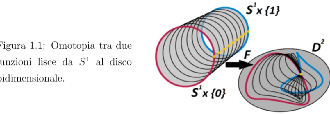 Figura 1.1: Omotopia tra due funzioni lisce da S 1 al disco bidimensionale.