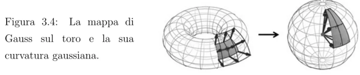 Figura 3.4: La mappa di Gauss sul toro e la sua curvatura gaussiana.