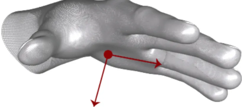 Figura 2.7: La normale al palmo e la direzione definiscono l’orientamento della mano