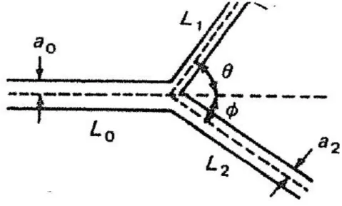 Figura 3.  Parametri geometrici del punto di biforcazione. Riprodotta da [3].