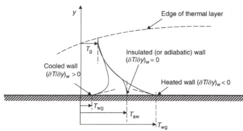 Figure 1.9: Temperature distribution on the wall inside the thermal layer