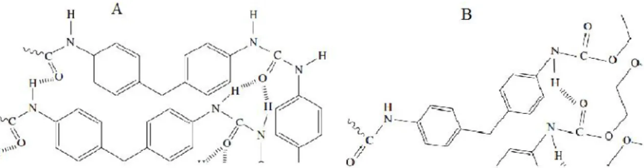 Figura 11 [2] . Rappresentazione della porzione ‘hard’ nella struttura poliuretanica. (A) si noti come il legame ureico permetta la formazione di due legami idrogeno a ponte