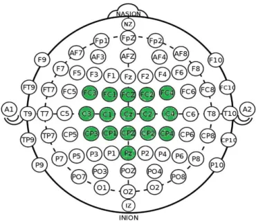 Figura 12: in verde i siti in cui gli elettrodi sono disposti. 