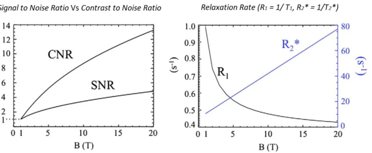 Figure 2.8: Image quality. Pictures of relaxation rate (R 1 = T 1