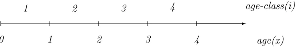 Figura 1.1: Relazione tra la variabile continua age(x) dell’et` a e la variabile discreta age-class(i)delle classi di et` a.
